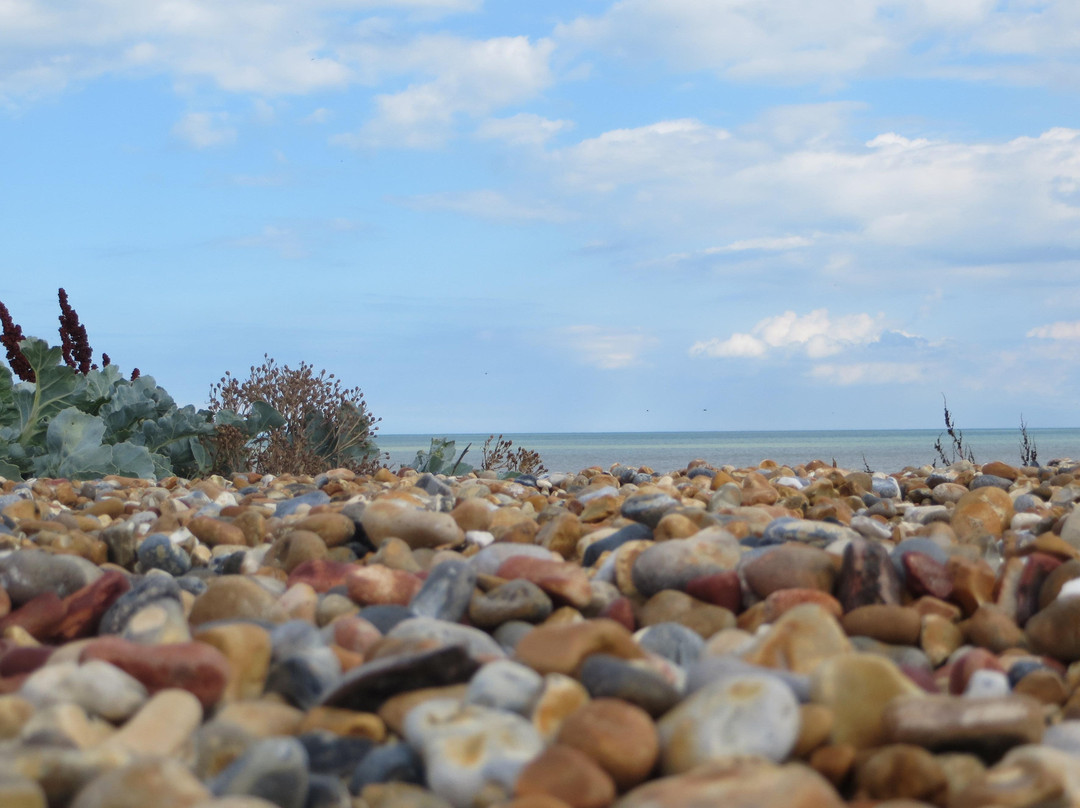 Sandwich Bay Beach景点图片