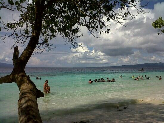 Sacred Eels of Waai-安汶必去景点