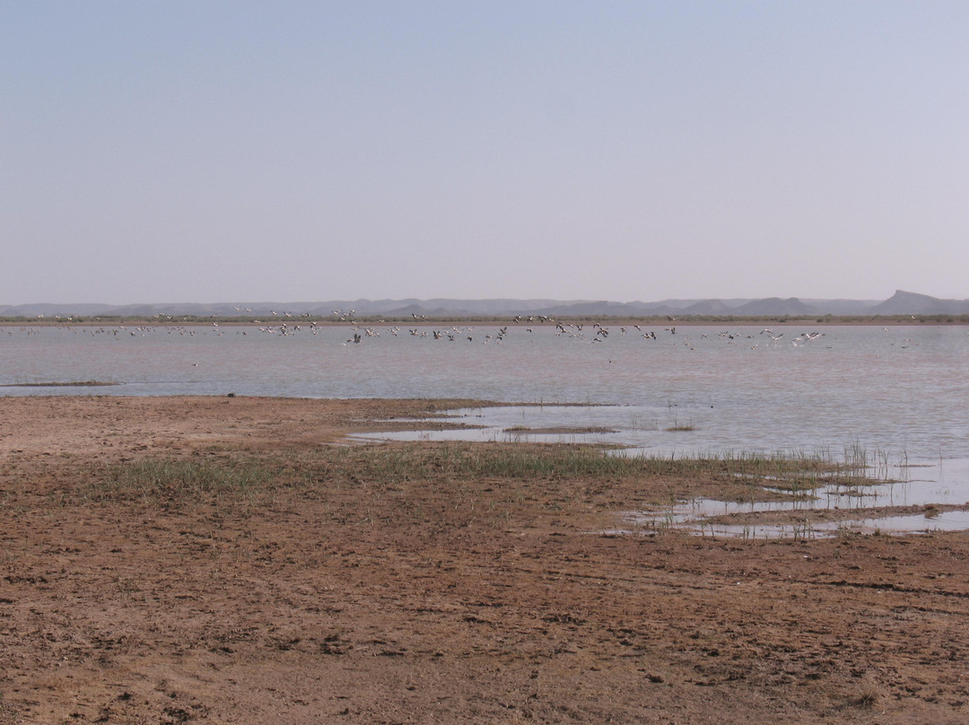 Berbere Experience Day Tours-梅如卡必去景点