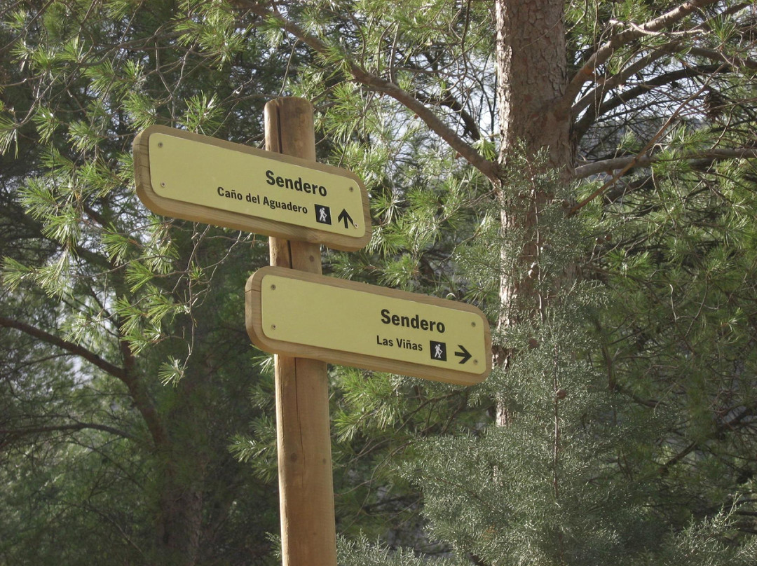Parque Natural Sierra Magina-Albanchez de Magina必去景点