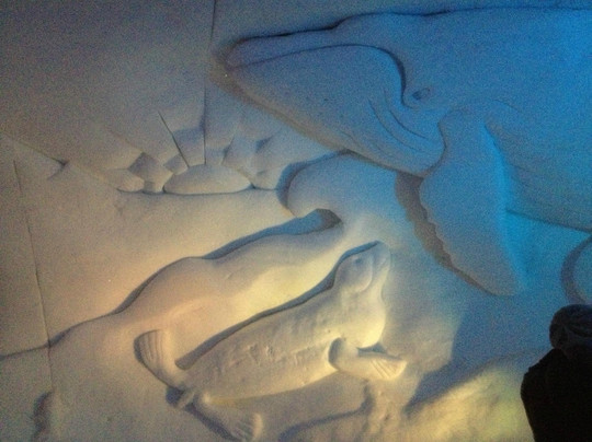 White Lounge-玛莉霍芬必去景点