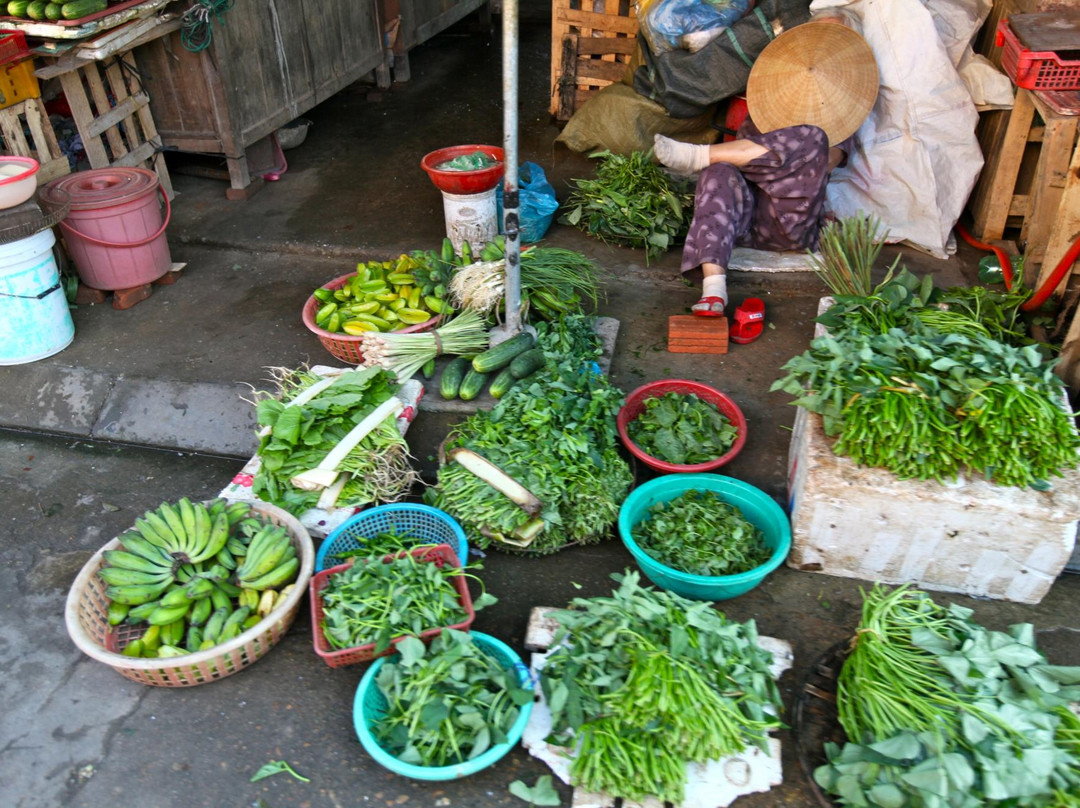 会安免费之旅-会安必去景点