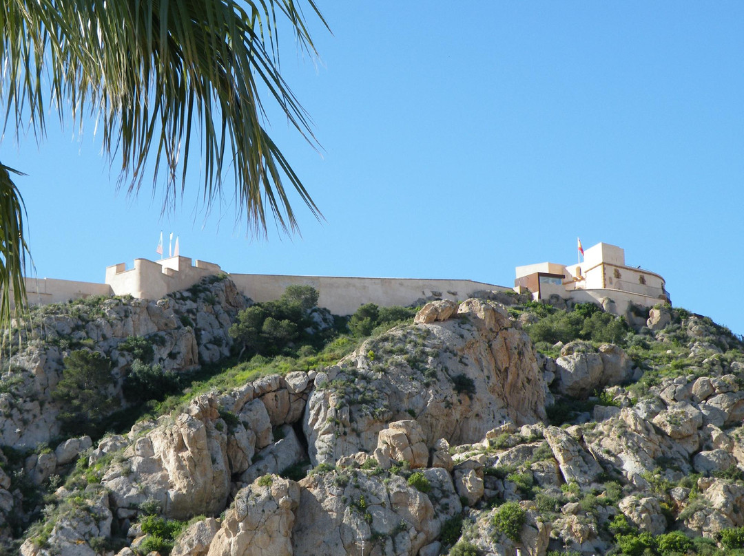 Castillo de San Juan景点图片