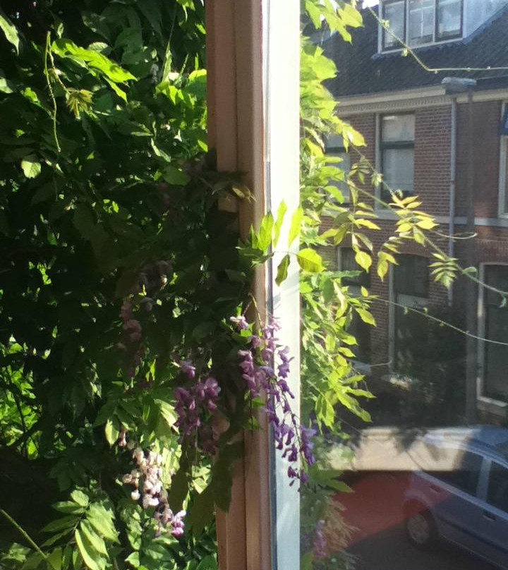 B&B Limes Oudwijk主图