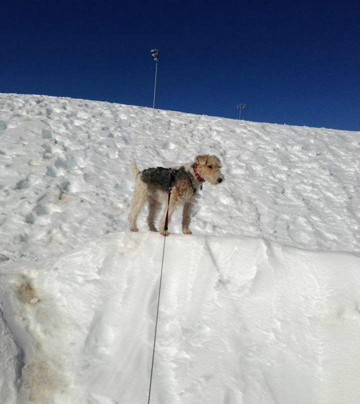Thorpe Park-弗拉格斯塔夫必去景点