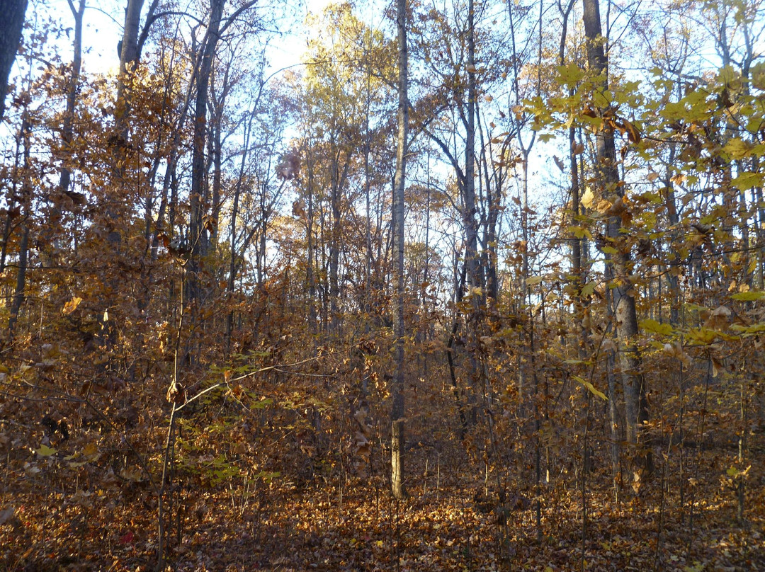 Guilford Courthouse National Military Park景点图片