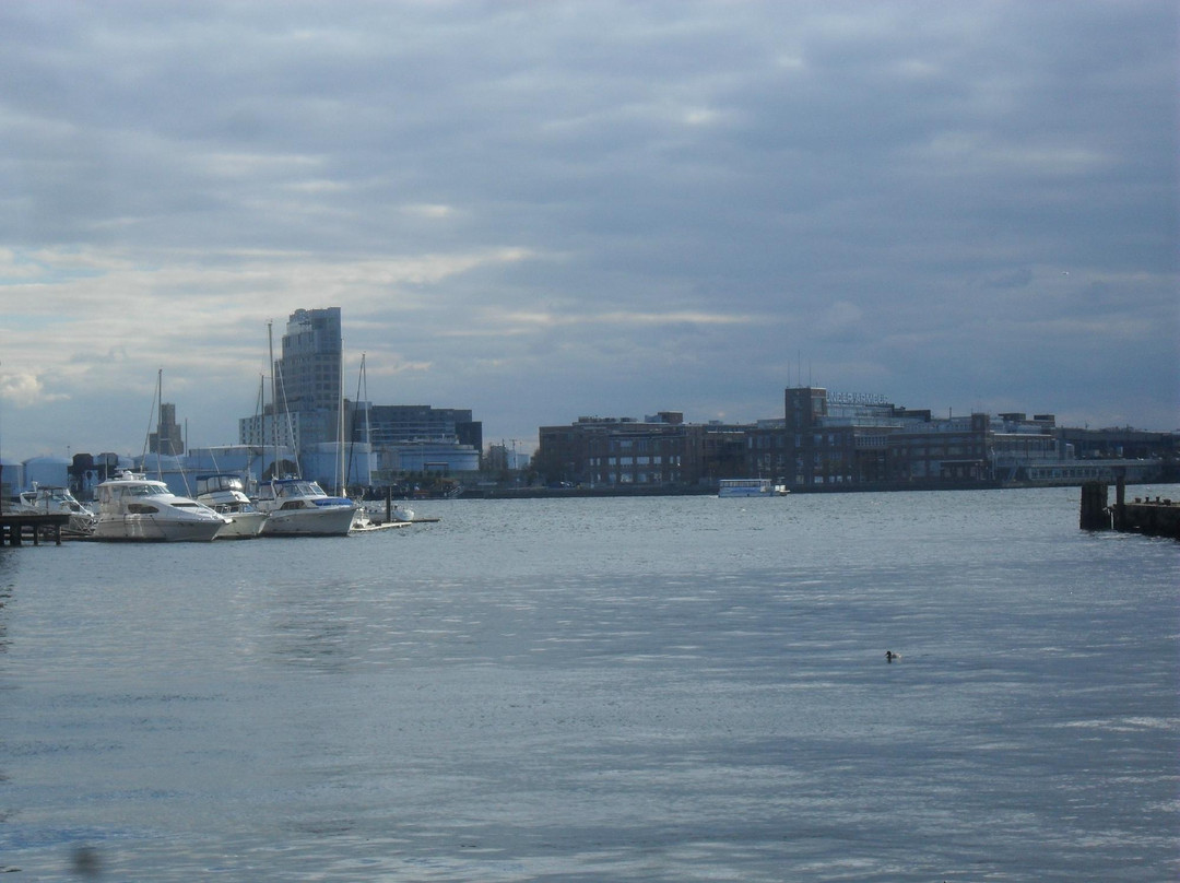 Art Gallery of Fells Point on the Avenue-巴尔的摩必去景点