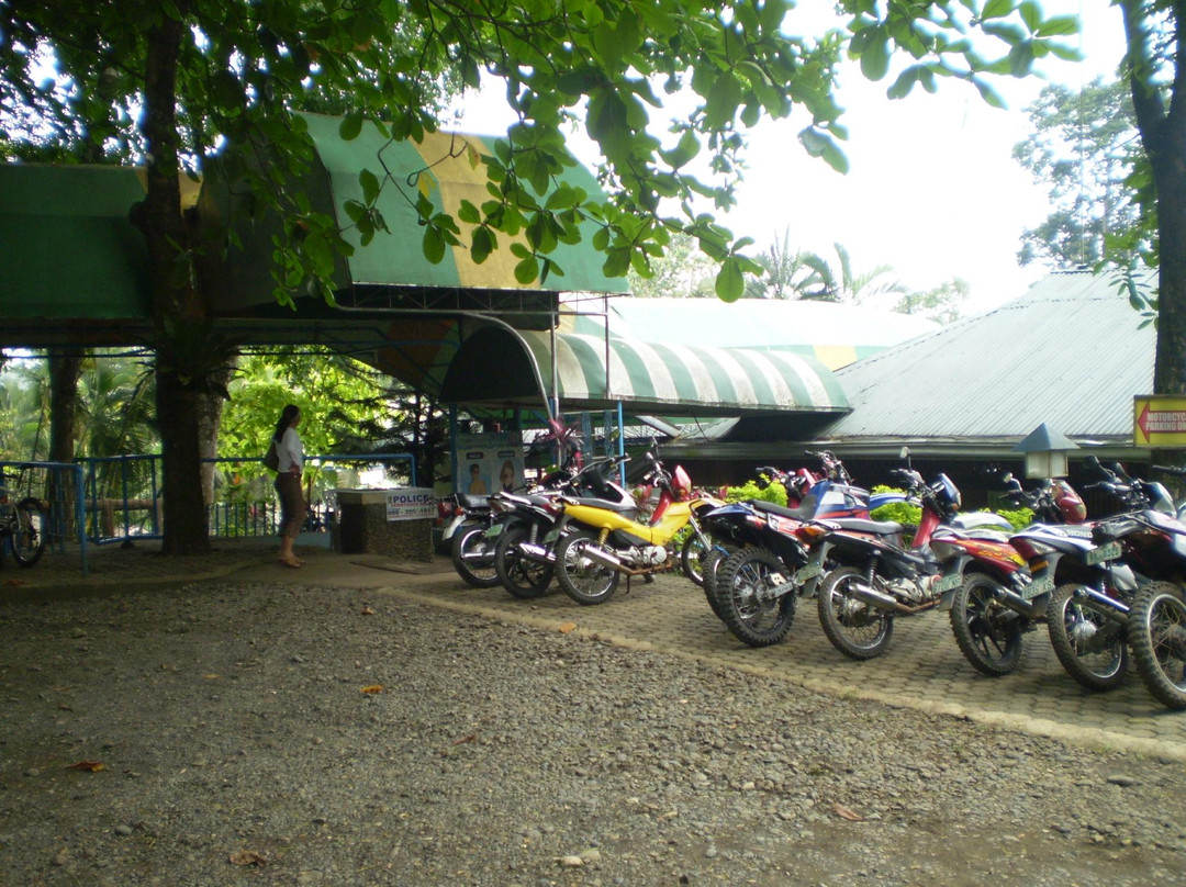 MGM Mountain Resort