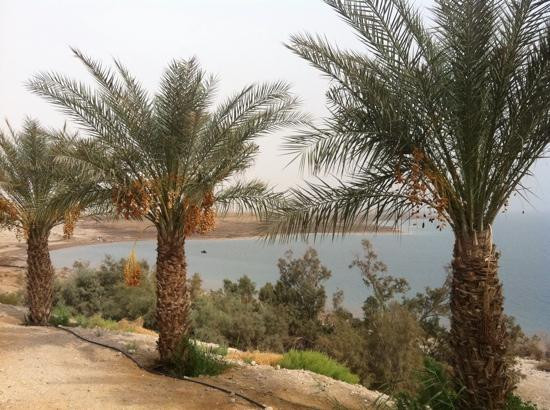 Kalia Beach-Kalia必去景点