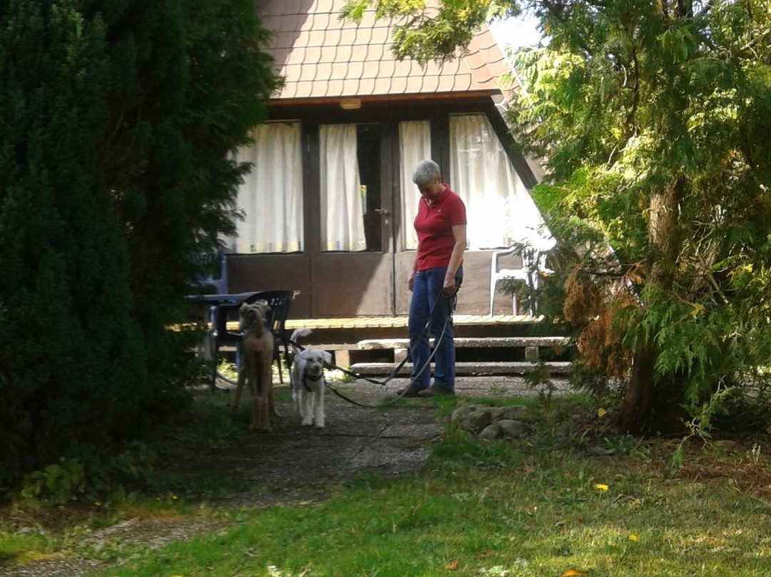 Ferienpark Schwarzwald