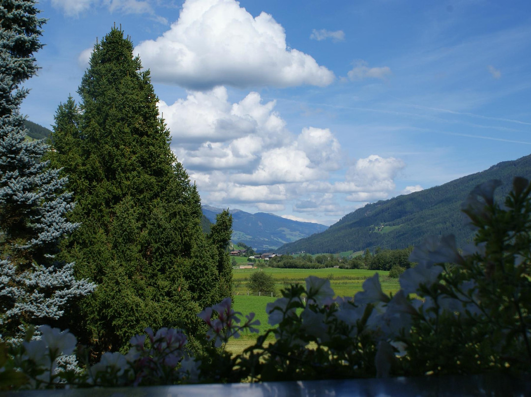 Gästehaus Stotter主图