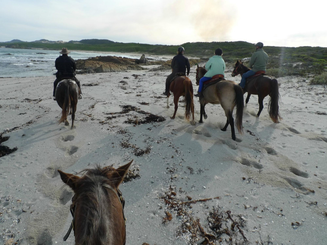 King Island Trail Rides-Currie必去景点