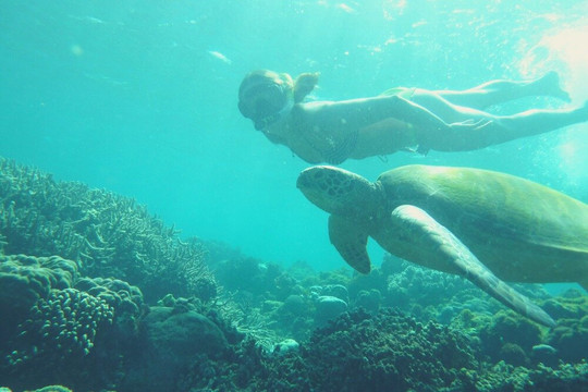 Full-Day Madventure in Cebu-宿雾市必去景点