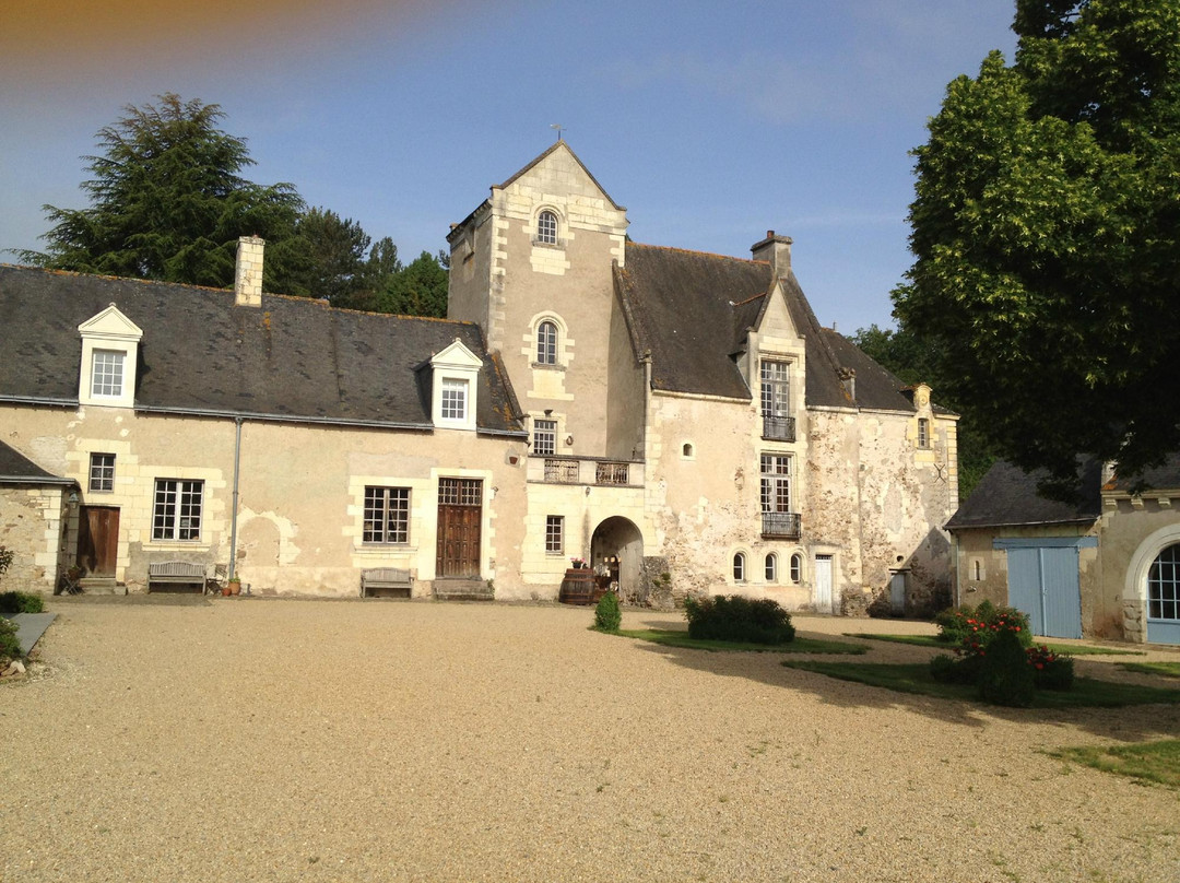 Chateau de Cheman主图