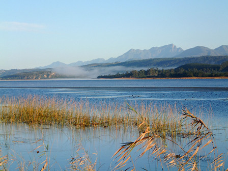 Eden Mountain Biking Tours- Day Tours景点图片