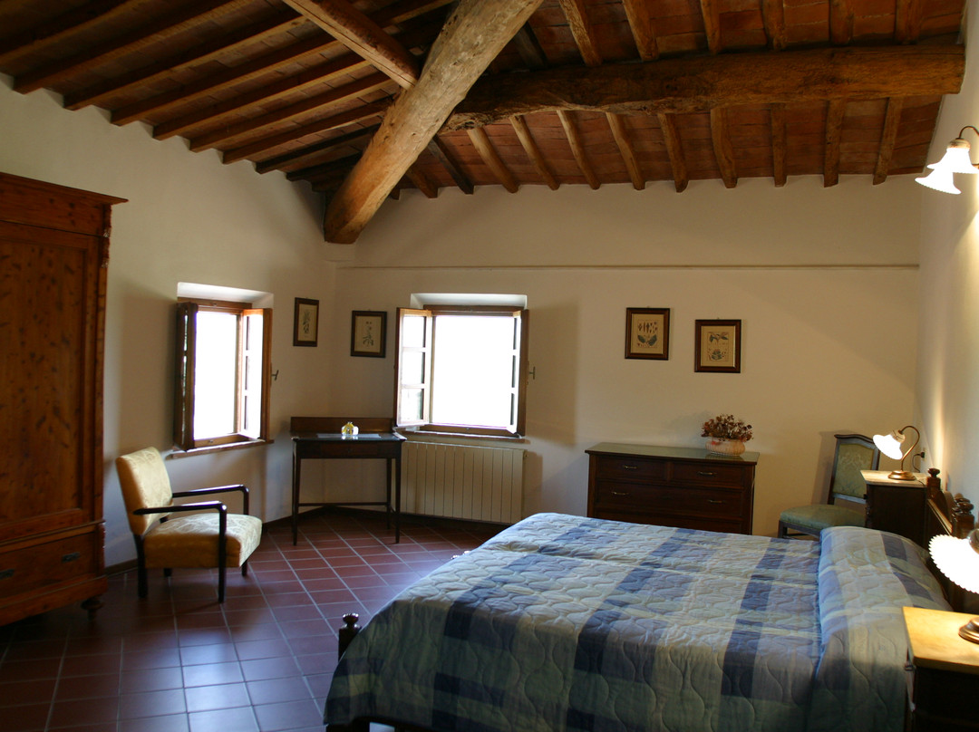 Il Gattero