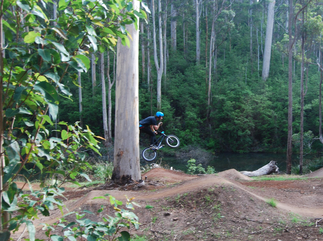 Pemberton Mountain Bike Park-彭伯顿必去景点