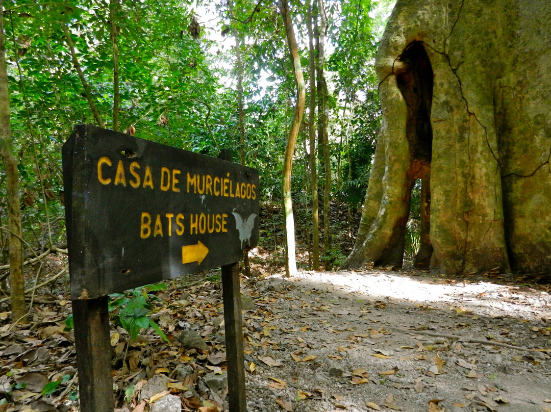 Cabo Blanco Absolute Natural Reserve景点图片