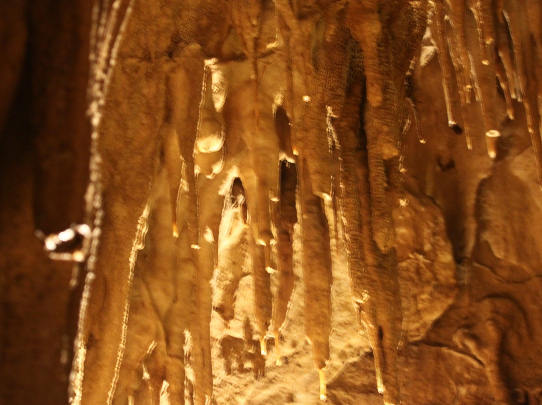 Grottes de Bétharram景点图片