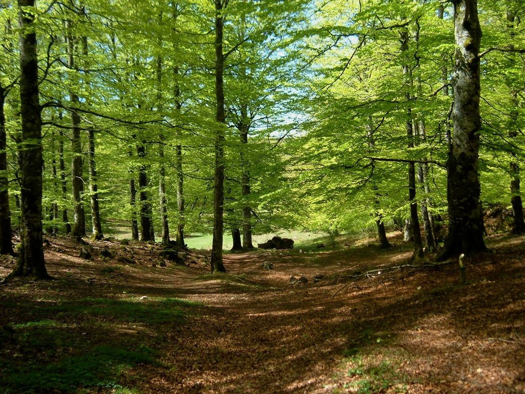 拉特萨尼亚乡村酒店主图