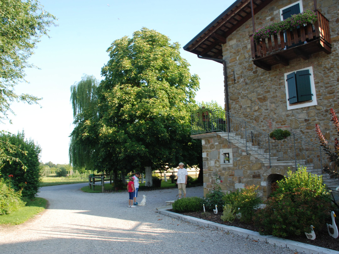 Azienda Agricola Magnas