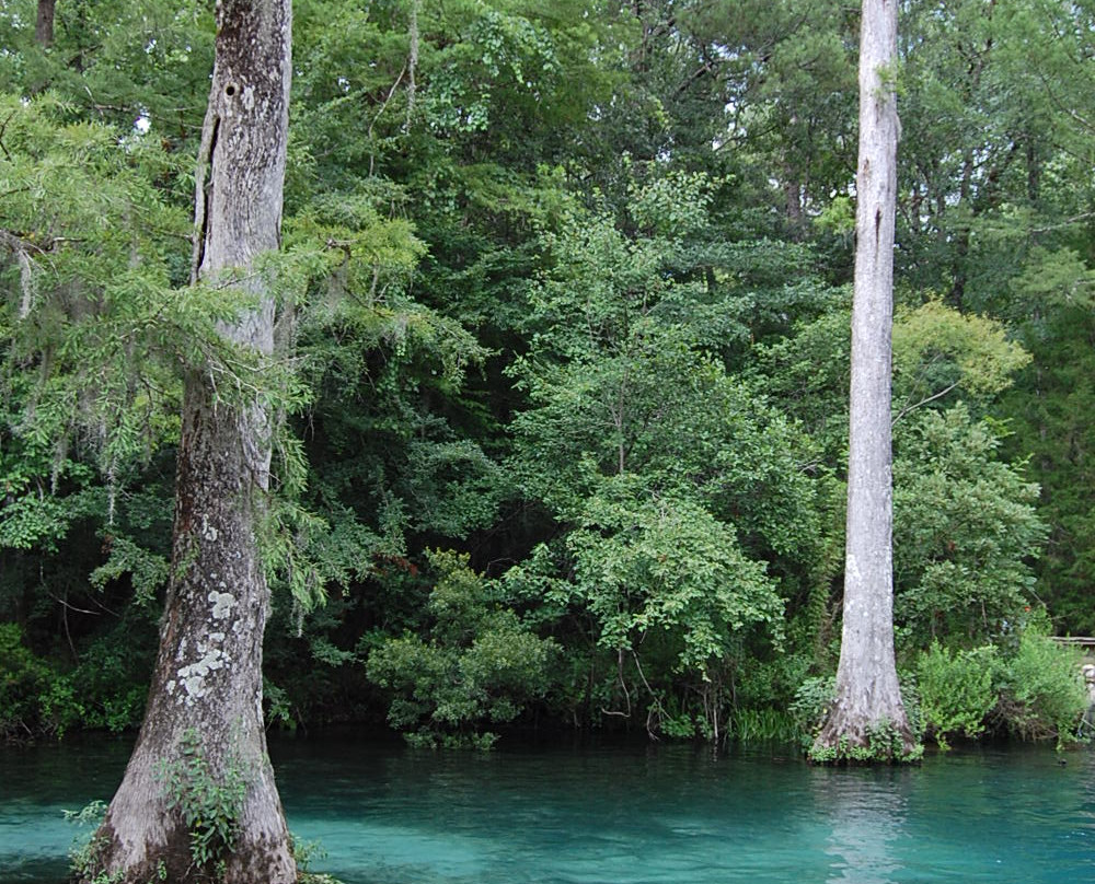 Ponce de Leon Springs State Park景点图片