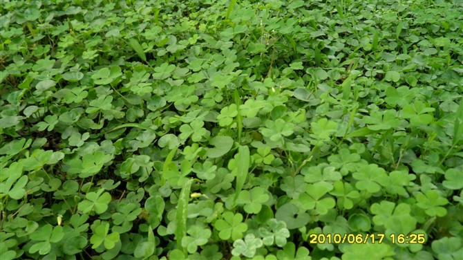 南京鼓楼-南京市必去景点