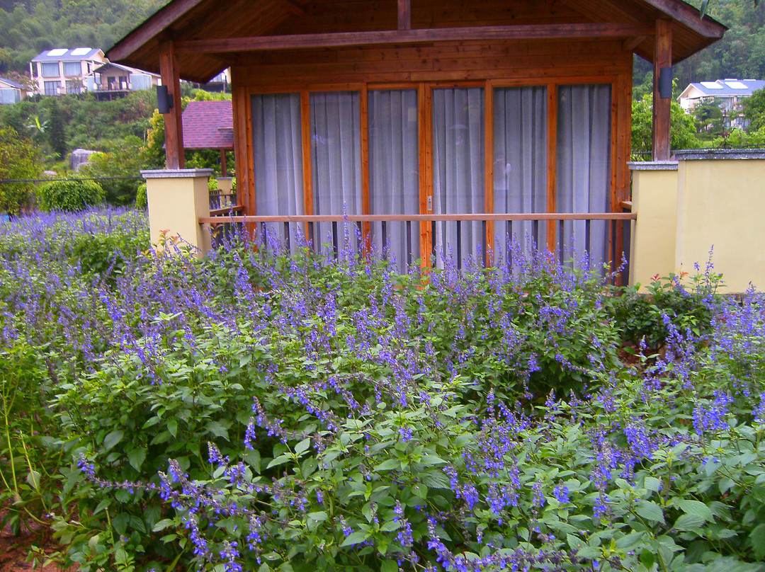 盘龙天堂度假酒店主图