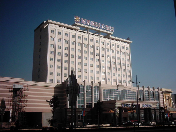 龙星国际大酒店-客卧