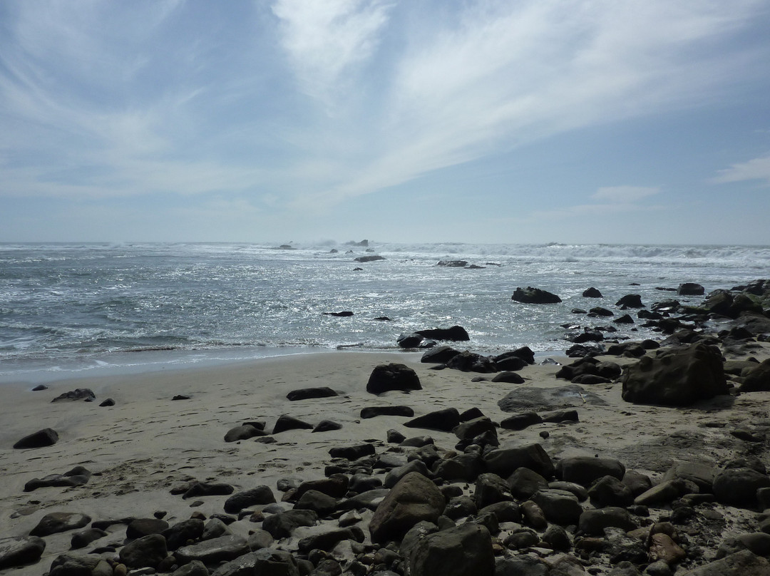 Mavericks Beach-半月湾必去景点