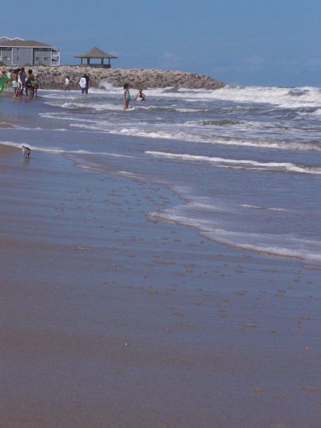 Fort Fisher State Historic Site景点图片