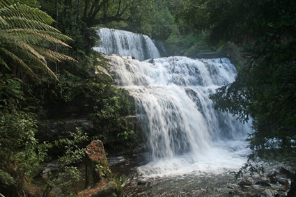 Liffey Falls-德洛兰恩必去景点