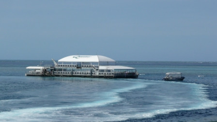 Quicksilver Cruises-道格拉斯港必去景点