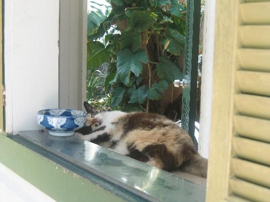 海明威故居与博物馆-基韦斯特必去景点