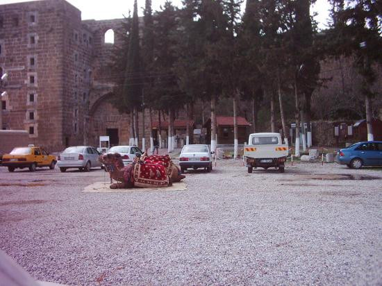 Aspendos Ruins景点图片