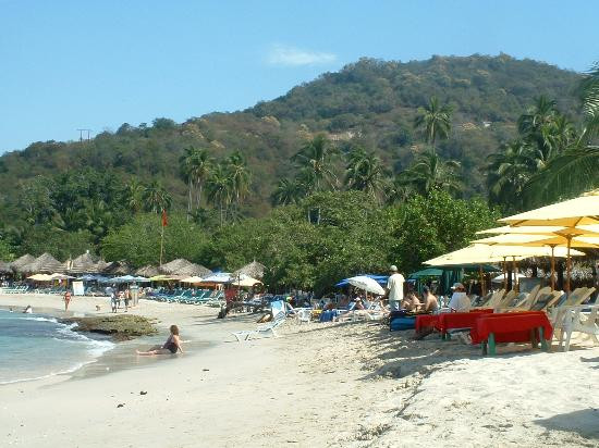 Playa Las Gatas景点图片