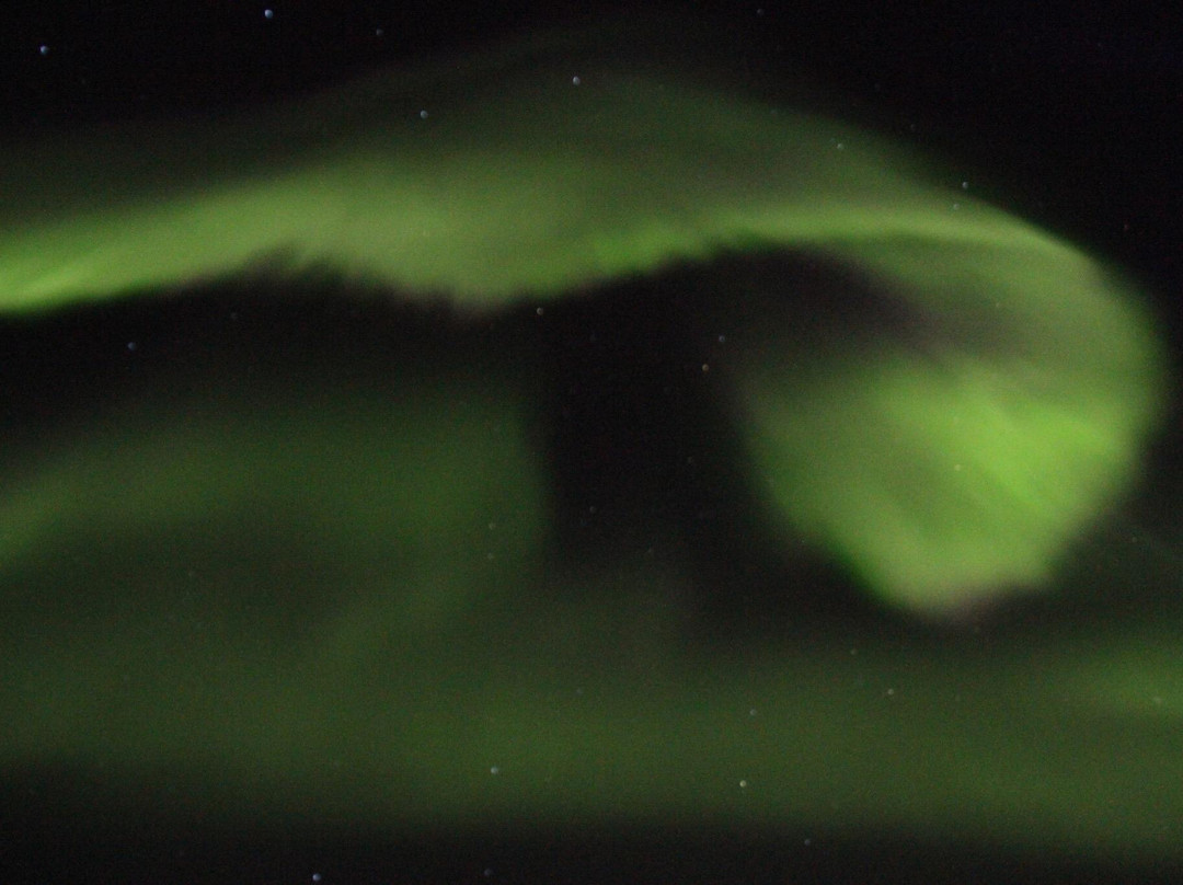 Wild Nordic Aurora Safari景点图片