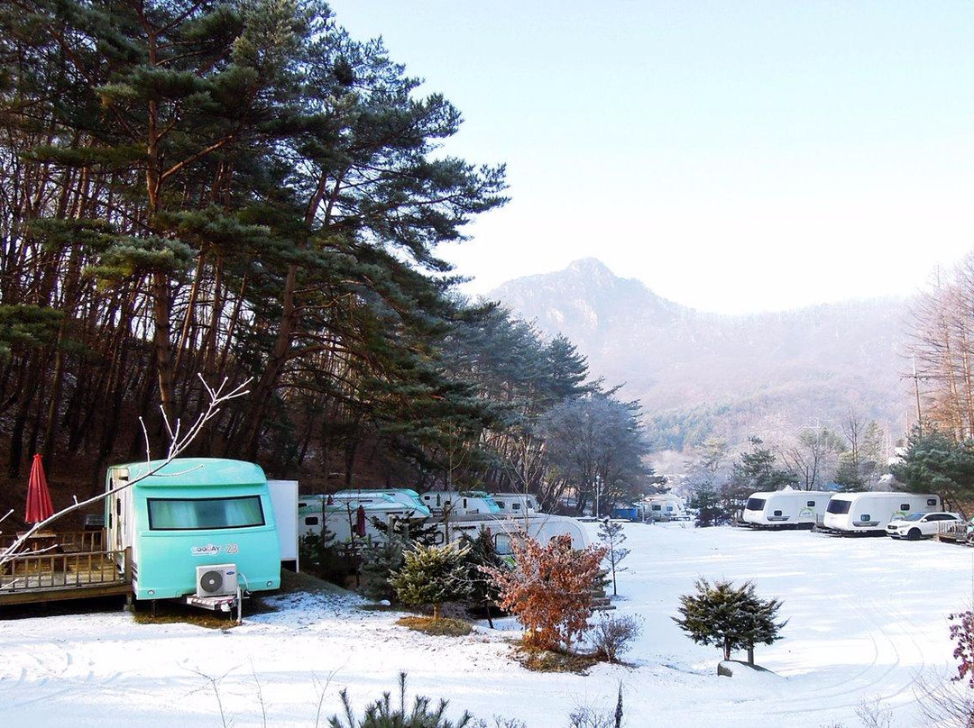 Good Day Caravan