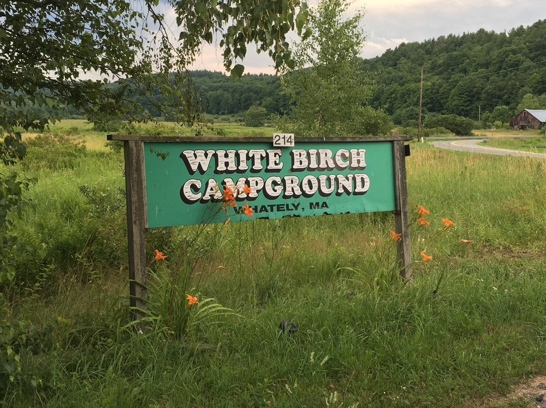 White Birch Campground