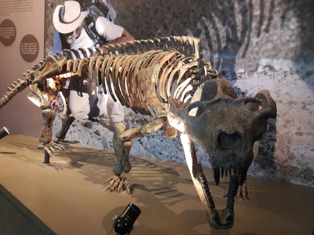 Museo de Ciencias Naturales景点图片