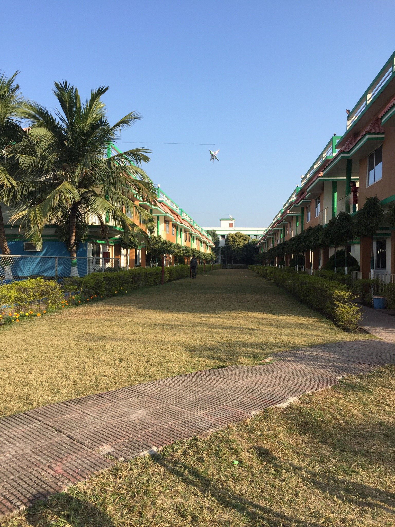 Hotel Sea Bird International-官方