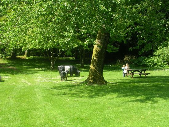 Threave Garden & Nature Reserve-Castle Douglas必去景点
