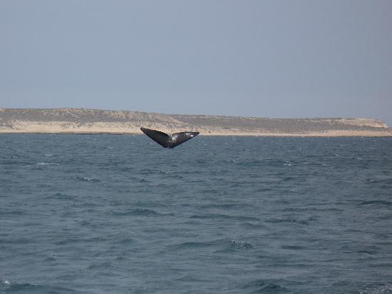 Puerto Rawson酒店住宿-Casa en la Bahia