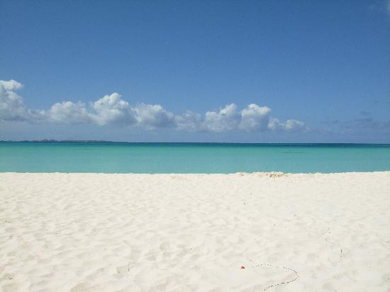 Rendezvous Bay Beach-Sandy Ground必去景点