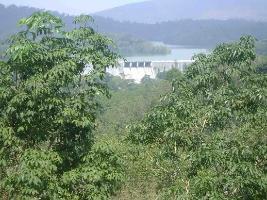 Neyyar Wild Life Sanctuary景点图片
