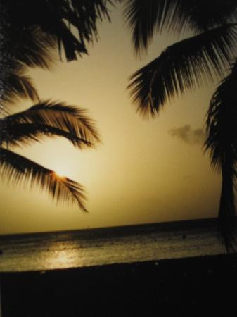 Palm Beach-棕榈/鹰海滩必去景点