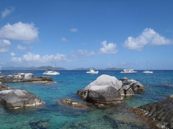 Bad Kitty & Calypso Charters-克鲁兹湾必去景点