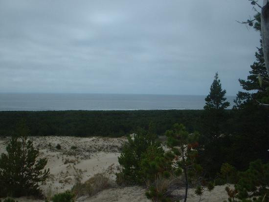 Oregon Dunes National Recreation Area-Reedsport必去景点