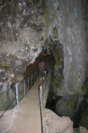 Capricorn Caves-The Caves必去景点