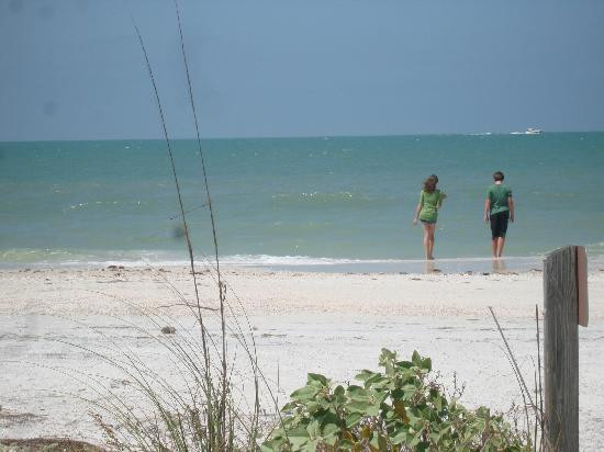 Caladesi Island State Park-达尼丁必去景点